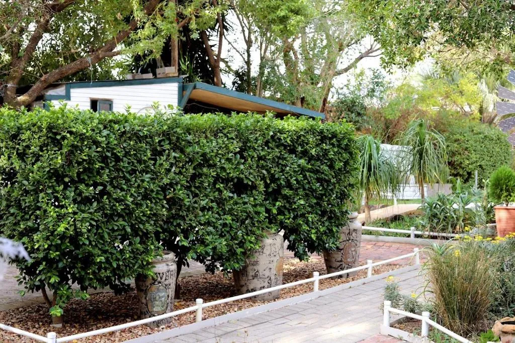 Green hedges and the garden